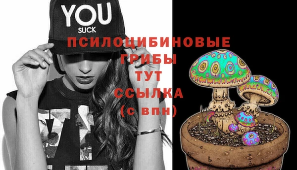 дмт Алексин