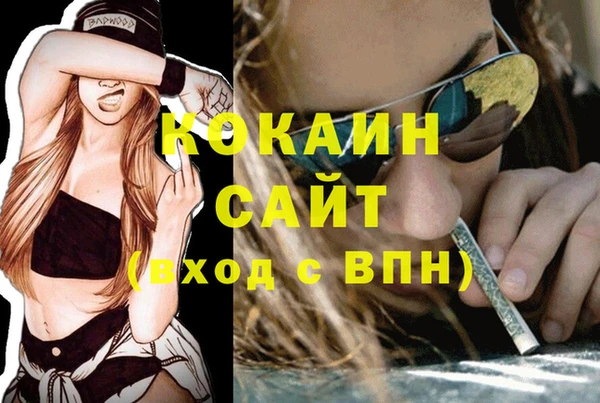 дмт Алексин