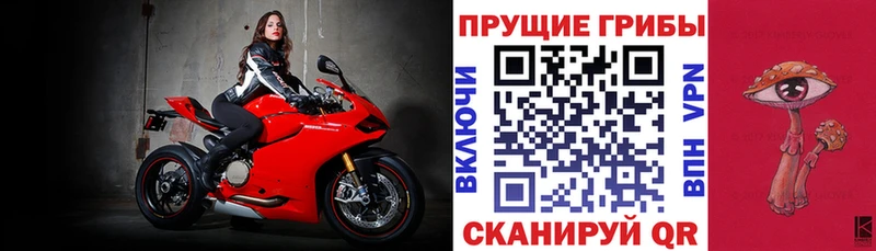 продажа наркотиков  Дудинка  Псилоцибиновые грибы Cubensis 